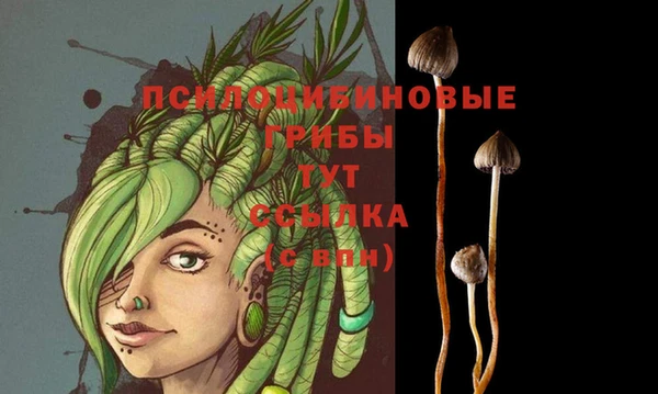 МДМА Абаза