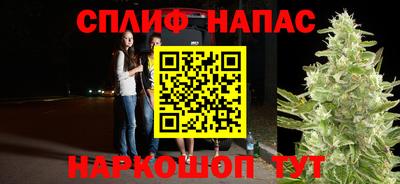 СК Обь