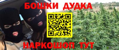 СК Обь