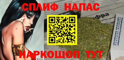 СК Обь